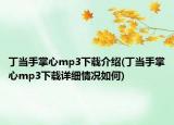 丁當(dāng)手掌心mp3下載介紹(丁當(dāng)手掌心mp3下載詳細(xì)情況如何)
