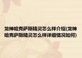 龍神哈克薩斯精靈怎么樣介紹(龍神哈克薩斯精靈怎么樣詳細情況如何)