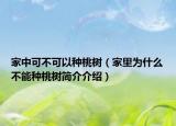 家中可不可以種桃樹（家里為什么不能種桃樹簡介介紹）