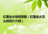 紅蓮業(yè)火如何獲?。t蓮業(yè)火怎么得簡(jiǎn)介介紹）