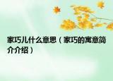 家巧兒什么意思（家巧的寓意簡介介紹）