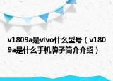 v1809a是vivo什么型號（v1809a是什么手機(jī)牌子簡介介紹）