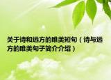 關(guān)于詩和遠(yuǎn)方的唯美短句（詩與遠(yuǎn)方的唯美句子簡介介紹）