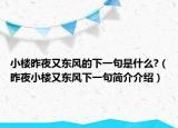 小樓昨夜又東風(fēng)的下一句是什么?（昨夜小樓又東風(fēng)下一句簡(jiǎn)介介紹）