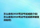 怎么查詢2018司法考試成績介紹(怎么查詢2018司法考試成績詳細情況如何)