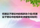 何謂量子理論中的觀察者介紹(何謂量子理論中的觀察者詳細情況如何)