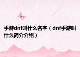 手游dnf叫什么名字（dnf手游叫什么簡(jiǎn)介介紹）