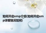 如何開啟xmp介紹(如何開啟xmp詳細(xì)情況如何)