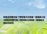 轉(zhuǎn)角遇到愛(ài)中除了愛(ài)轉(zhuǎn)角外還有哪一首插曲介紹(轉(zhuǎn)角遇到愛(ài)中除了愛(ài)轉(zhuǎn)角外還有哪一首插曲詳細(xì)情況如何)