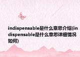 indispensable是什么意思介紹(indispensable是什么意思詳細(xì)情況如何)