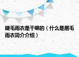 睫毛雨衣是干嘛的（什么是眉毛雨衣簡(jiǎn)介介紹）