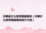 沙雕是什么意思網(wǎng)絡(luò)用語(yǔ)（沙雕什么意思網(wǎng)絡(luò)用語(yǔ)簡(jiǎn)介介紹）