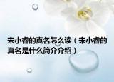 宋小睿的真名怎么讀（宋小睿的真名是什么簡(jiǎn)介介紹）