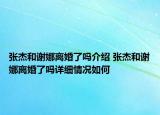 張杰和謝娜離婚了嗎介紹 張杰和謝娜離婚了嗎詳細(xì)情況如何