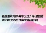 最囧游戲3第9關(guān)怎么過介紹(最囧游戲3第9關(guān)怎么過詳細情況如何)