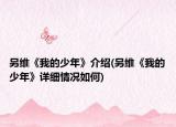 另維《我的少年》介紹(另維《我的少年》詳細(xì)情況如何)