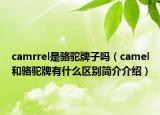 camrrel是駱駝牌子嗎（camel和駱駝牌有什么區(qū)別簡介介紹）