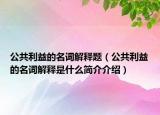 公共利益的名詞解釋題（公共利益的名詞解釋是什么簡介介紹）