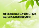 開機(jī)出現(xiàn)grub怎么辦介紹(開機(jī)出現(xiàn)grub怎么辦詳細(xì)情況如何)