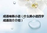 成語啥腸小道（什么腸小道四字成語簡介介紹）