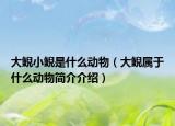 大鯢小鯢是什么動(dòng)物（大鯢屬于什么動(dòng)物簡(jiǎn)介介紹）