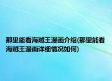 那里能看海賊王漫畫介紹(那里能看海賊王漫畫詳細(xì)情況如何)