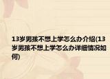 13歲男孩不想上學(xué)怎么辦介紹(13歲男孩不想上學(xué)怎么辦詳細情況如何)
