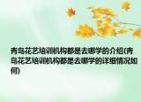 青島花藝培訓(xùn)機(jī)構(gòu)都是去哪學(xué)的介紹(青島花藝培訓(xùn)機(jī)構(gòu)都是去哪學(xué)的詳細(xì)情況如何)