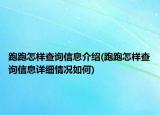 跑跑怎樣查詢信息介紹(跑跑怎樣查詢信息詳細情況如何)