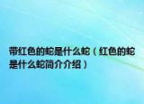 帶紅色的蛇是什么蛇（紅色的蛇是什么蛇簡(jiǎn)介介紹）