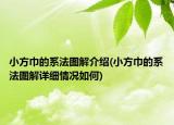 小方巾的系法圖解介紹(小方巾的系法圖解詳細情況如何)