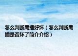 怎么判斷尾插好壞（怎么判斷尾插是否壞了簡(jiǎn)介介紹）