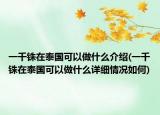 一千銖在泰國可以做什么介紹(一千銖在泰國可以做什么詳細情況如何)
