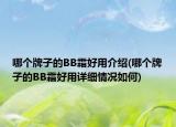 哪個牌子的BB霜好用介紹(哪個牌子的BB霜好用詳細(xì)情況如何)