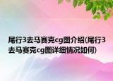 尾行3去馬賽克cg圖介紹(尾行3去馬賽克cg圖詳細(xì)情況如何)