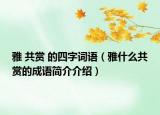 雅 共賞 的四字詞語（雅什么共賞的成語簡(jiǎn)介介紹）