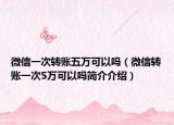 微信一次轉(zhuǎn)賬五萬(wàn)可以嗎（微信轉(zhuǎn)賬一次5萬(wàn)可以嗎簡(jiǎn)介介紹）