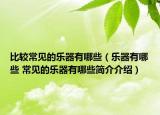比較常見的樂器有哪些（樂器有哪些 常見的樂器有哪些簡介介紹）