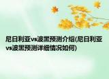 尼日利亞vs波黑預(yù)測(cè)介紹(尼日利亞vs波黑預(yù)測(cè)詳細(xì)情況如何)