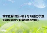 蘇寧置業(yè)和恒大哪個(gè)好介紹(蘇寧置業(yè)和恒大哪個(gè)好詳細(xì)情況如何)