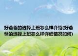 好爸爸的選擇上班怎么樣介紹(好爸爸的選擇上班怎么樣詳細情況如何)