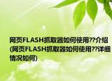 網(wǎng)頁FLASH抓取器如何使用??介紹(網(wǎng)頁FLASH抓取器如何使用??詳細(xì)情況如何)