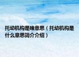 托幼機構(gòu)是啥意思（托幼機構(gòu)是什么意思簡介介紹）