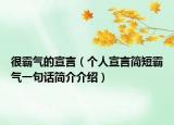 很霸氣的宣言（個(gè)人宣言簡(jiǎn)短霸氣一句話簡(jiǎn)介介紹）