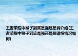 王者榮耀中猴子到底是強還是弱介紹(王者榮耀中猴子到底是強還是弱詳細情況如何)