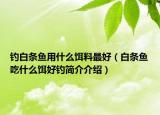 釣白條魚用什么餌料最好（白條魚吃什么餌好釣簡介介紹）