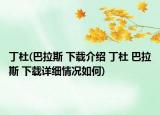 丁杜(巴拉斯 下載介紹 丁杜 巴拉斯 下載詳細情況如何)