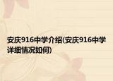 安慶916中學介紹(安慶916中學詳細情況如何)