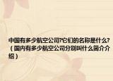 中國有多少航空公司?它們的名稱是什么?（國內(nèi)有多少航空公司分別叫什么簡(jiǎn)介介紹）