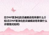 在DNF里凈化的靈魂痕跡用來做什么介紹(在DNF里凈化的靈魂痕跡用來做什么詳細(xì)情況如何)
